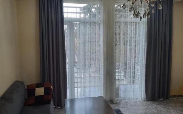 Pushkini street apartament