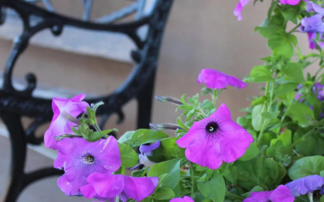 Moab Valley Inn