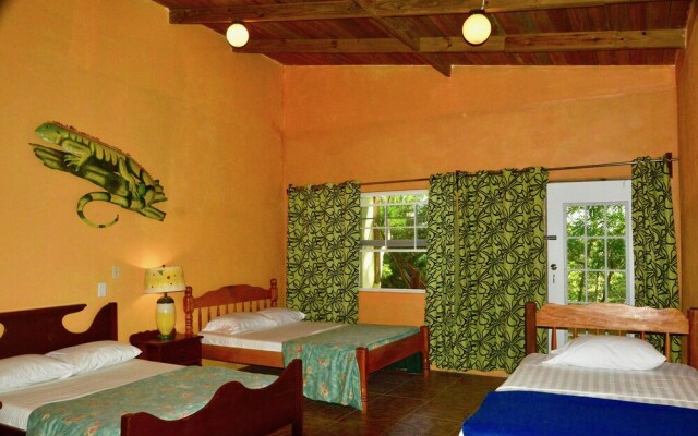 Howler Monkey Resort