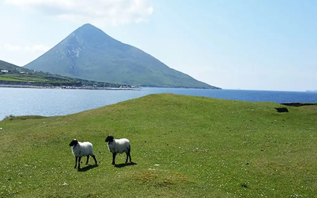 The Valley House Hostel