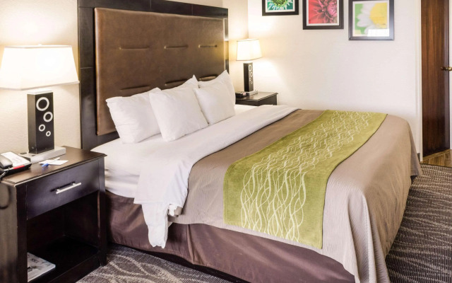 Comfort Inn Downtown Charleston