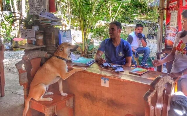 Bohol Coco Farm - Adults Only Hostel
