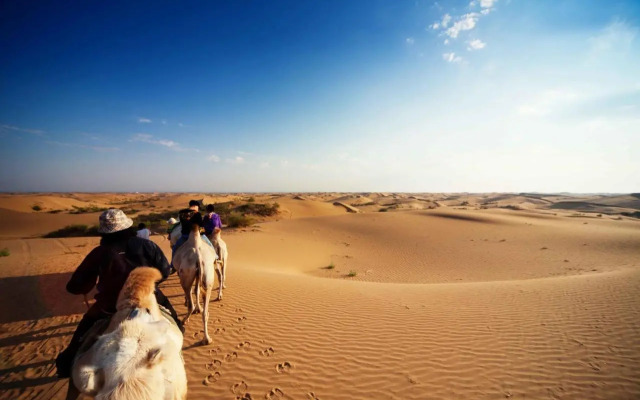 Golden Gobi Guesthouse & Tour