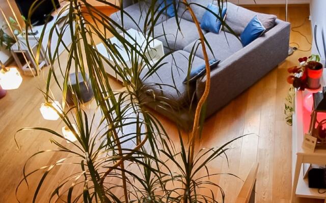 Le duplex de Lobeau