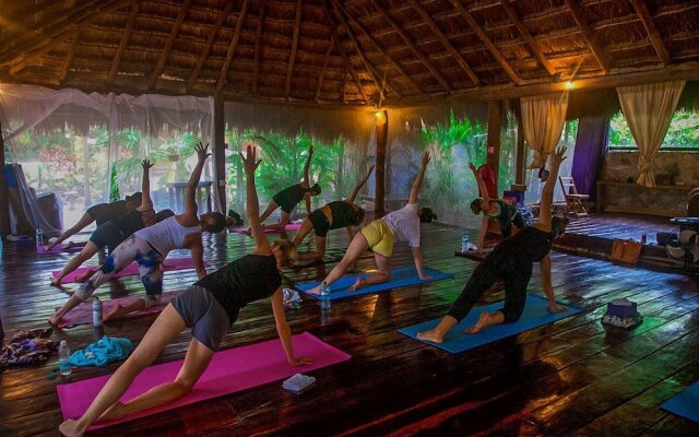 Yoga Shala - Adults Only