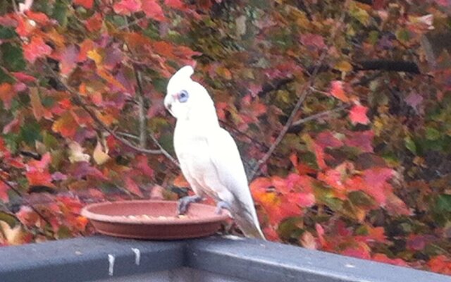 Valley View Cottage Warragul