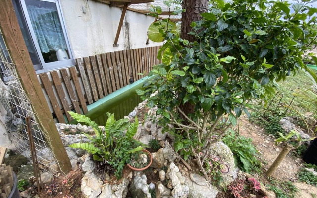 Beach House 1 & Private Beach