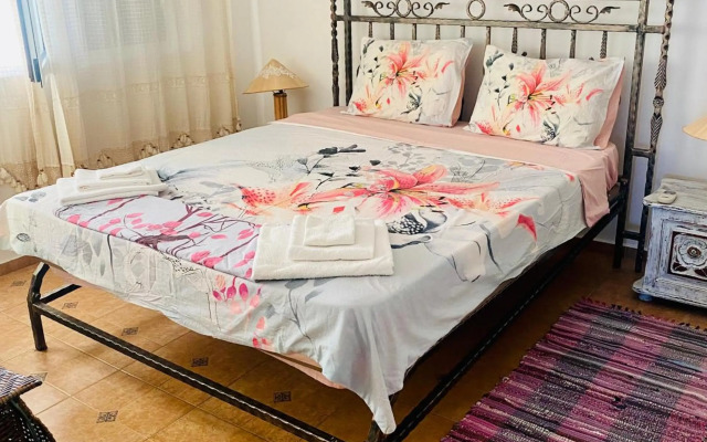 Marina Dinevi Complex Monastery 1 Saint Vlas