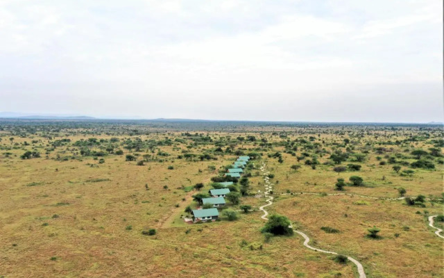 Zebra-Kemang'ore Bush Tented Lodge