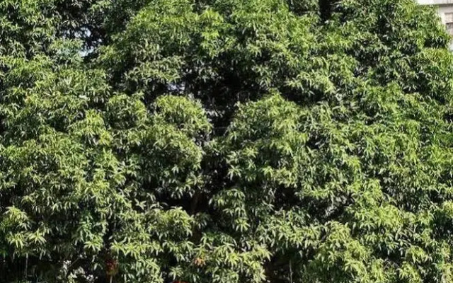 Xiamen Heyijia Garden Hotel