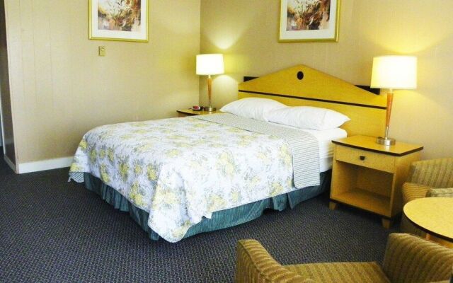 Guest Inn