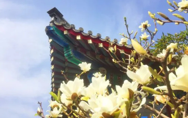 PALACE GARDEN Tai He Fu Hotel
