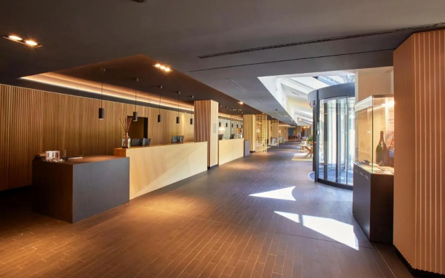 Park Piolets MountainHotel & Spa