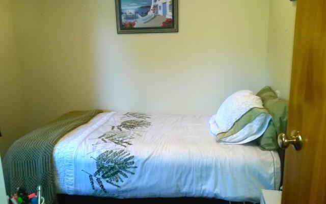 Summer Retreat - Blenheim Holiday Home