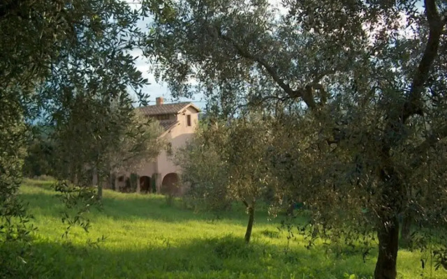 Agriturismo Terrasabina