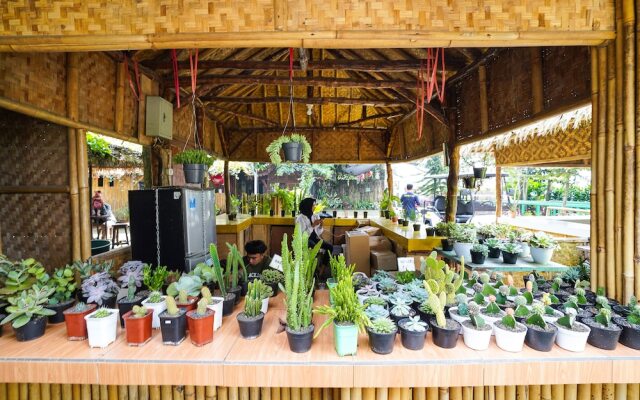 OYO Homes 91006 Eco Tourism Desa Cibodas Areng 5 Syariah