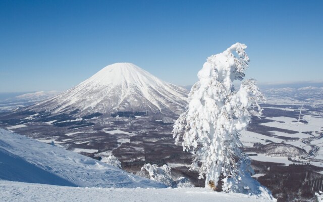 the kamui niseko