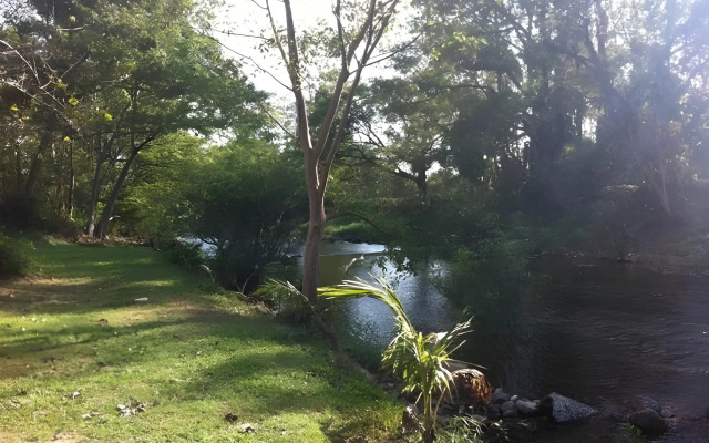 Ma-Kham Forest
