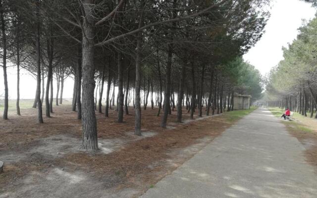 Residence Conchiglia