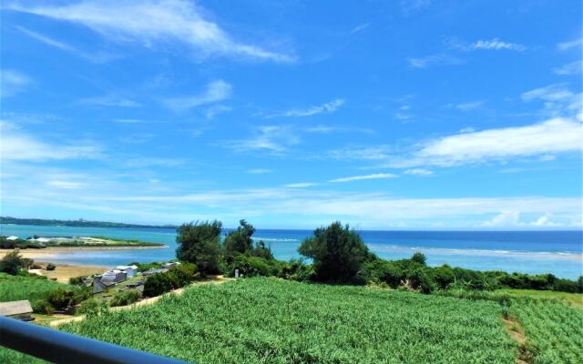 Maeda Misaki Grand Blue