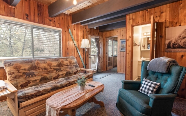 112 - Moonridge Bear Mountain Cabin