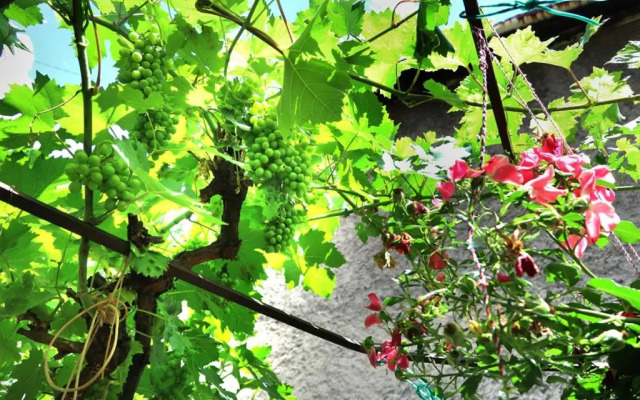 Modern&Cozy Bosnian house with GARDEN+FREE parking