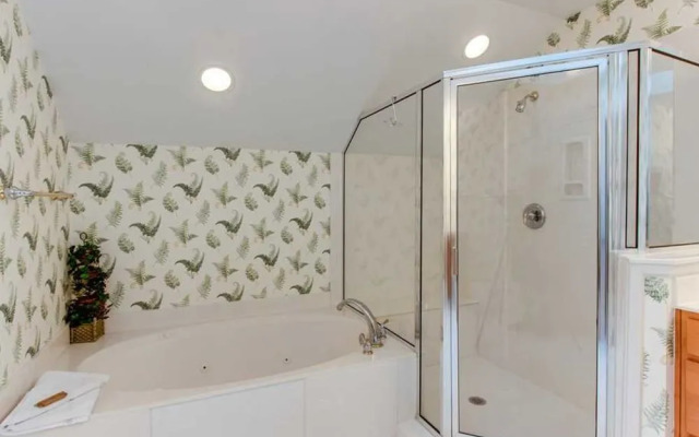 Sandhill Crane 03 by RedAwning