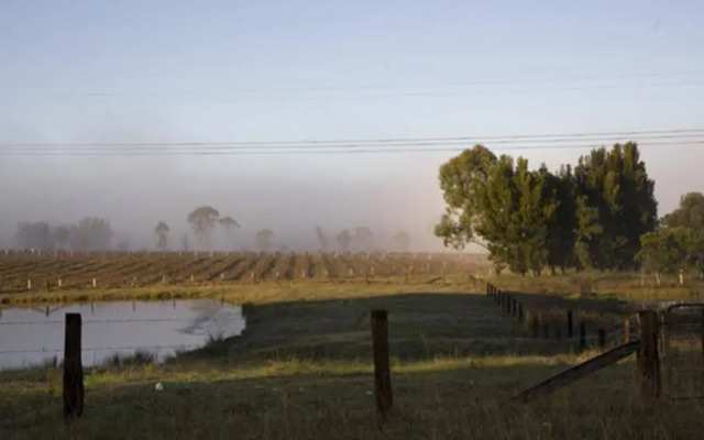 Talga Vines Vineyard Escape