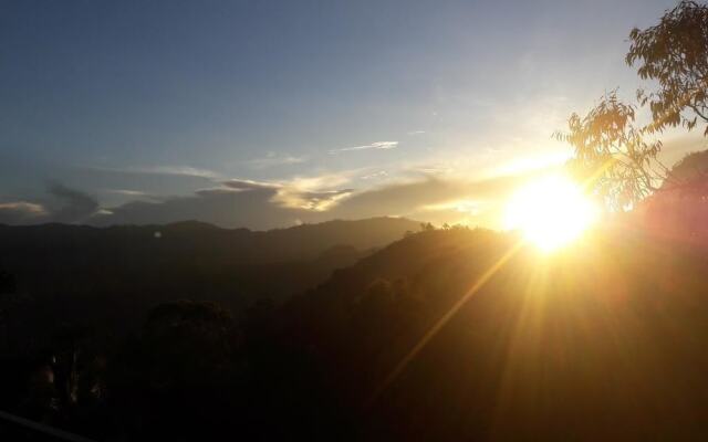 The Onex Paradise Ella