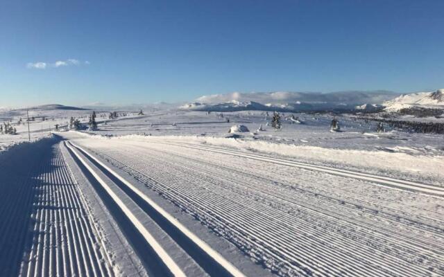 Golsfjellet - Bualie, milevis med sykkelveier, fiske og vannaktivitet, ski inn/ut til alpinanlegg og langrennsløyper.