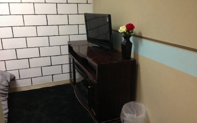 Hostel Habibi