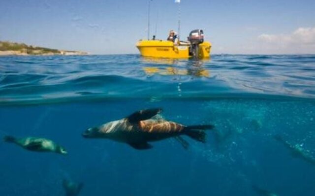 Mystery Bay Cottages