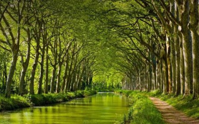 Gite La Chartreuse du Canal du Midi