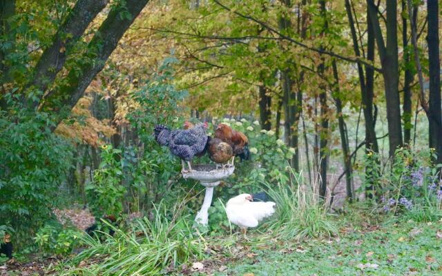The Inn on Lake Champlain