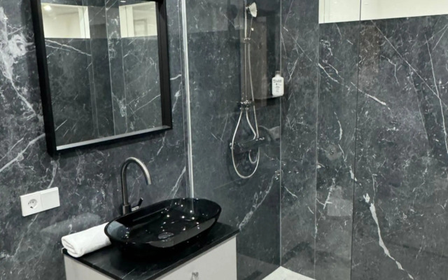 Luxurious Apartment in the Centre of Vienna