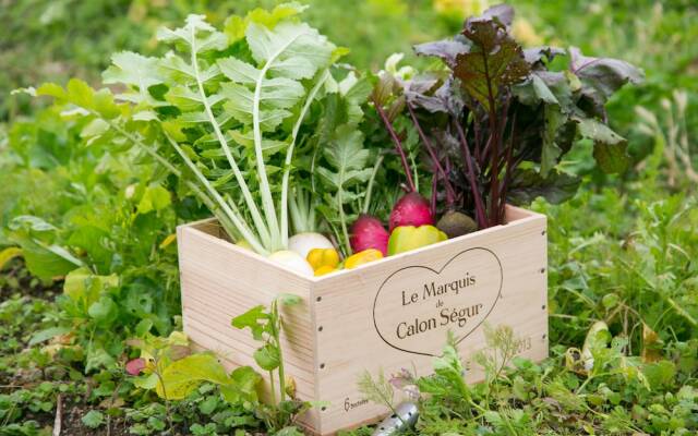 Pension Harvest