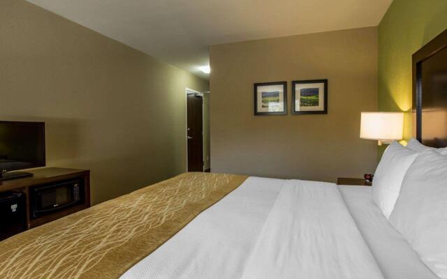 Comfort Inn Sylva - Cullowhee