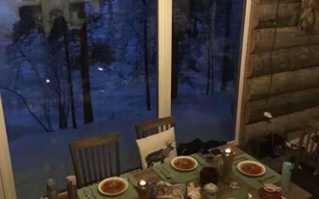 Сияние Севера