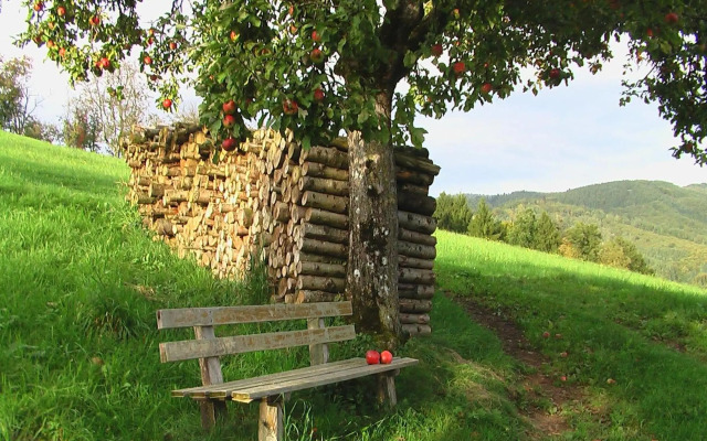 Ferienwohnungen Golla-Lang