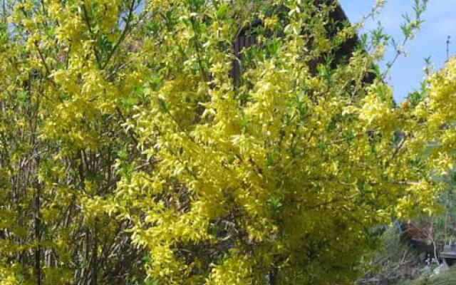 Ferienwohnung Hörger