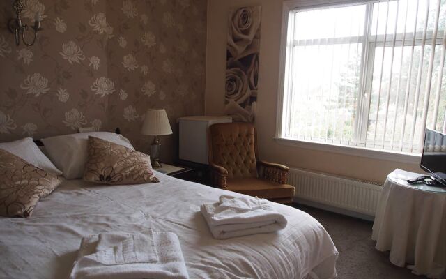 Leaded Light - Guest House