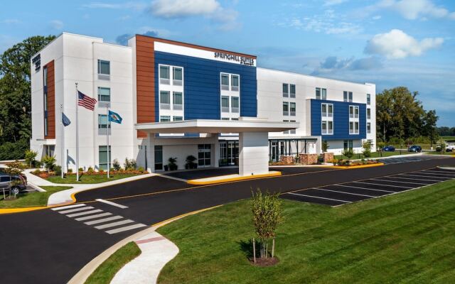Springhill Suites By Marriott Frederica