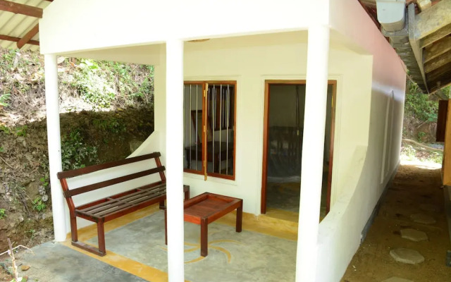 The Jungle House