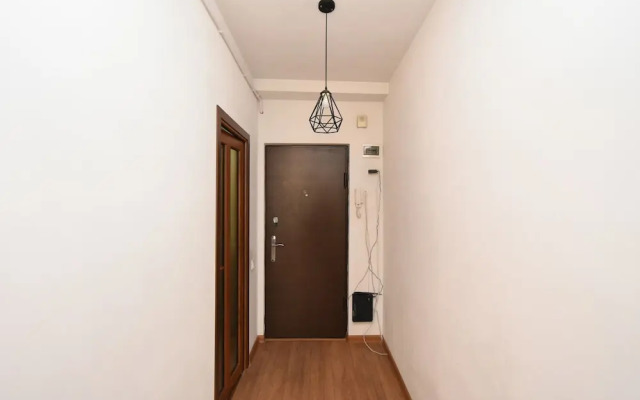 Sunny apartment on Pushkin street