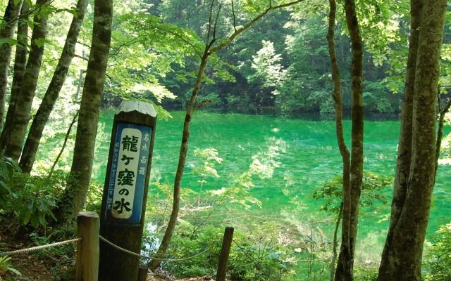 Echigotanaka Onsen Shinanoso