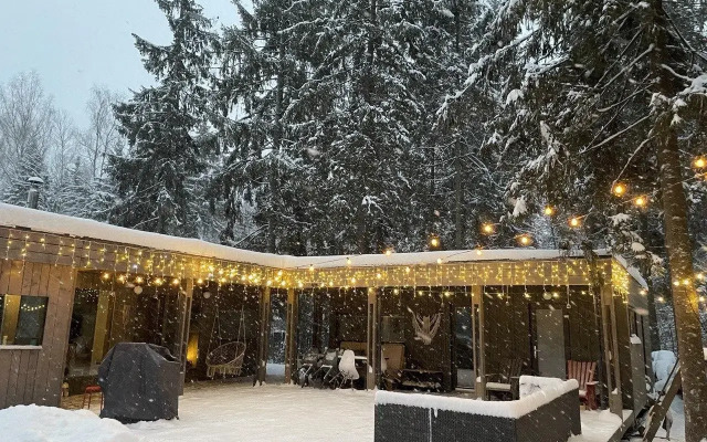 Fabulous chalet in a coniferous forest