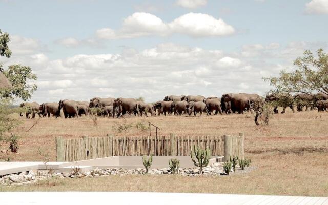 Kruger Sunset Lodge - living with lions