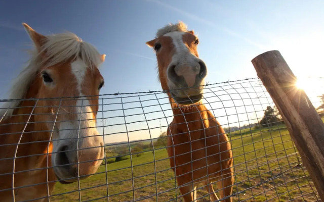 Well-kept Bungalow With Microwave Near Valkenburg