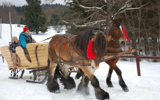 Centrul De Echitatie Poiana Brasov