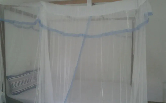 Orchid Villa  10